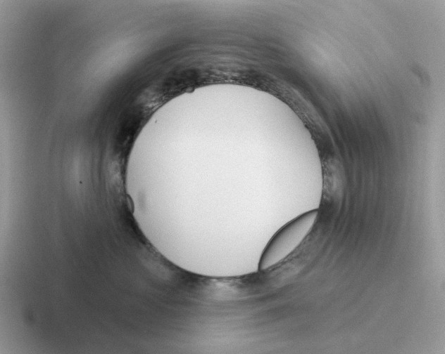 X0000116570573201001071157