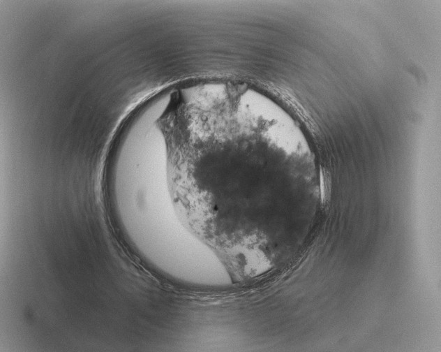 X0000116570579201001071156