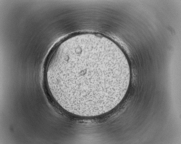 X0000116570580201001071156