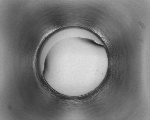 X0000116570583201001071156