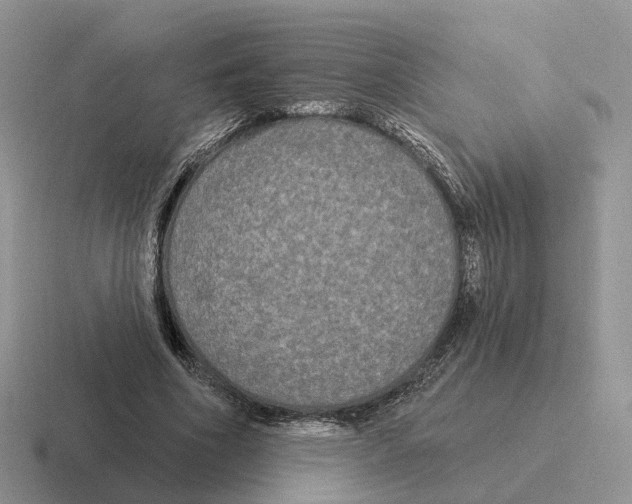 X0000116570586201001071156