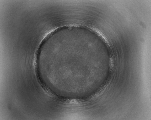 X0000116570588201001071156