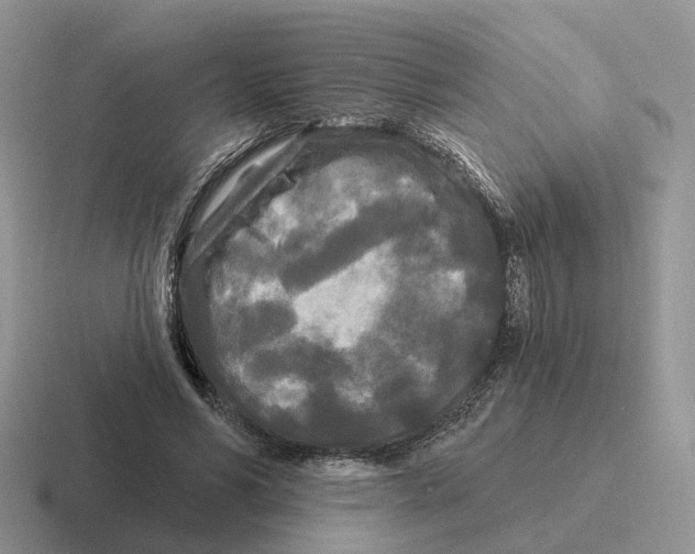 X0000116570590201001071156