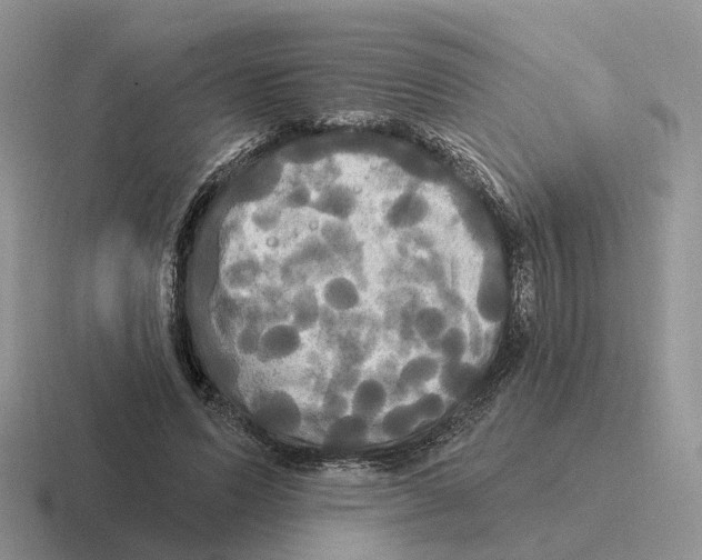 X0000116570591201001071156