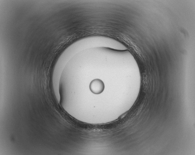 X0000116570593201001071156