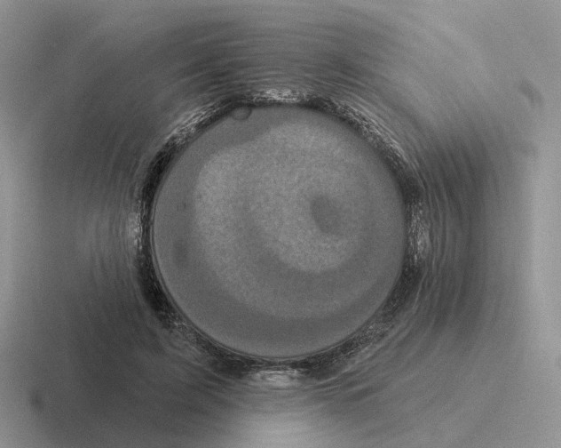 X0000116570595201001071156