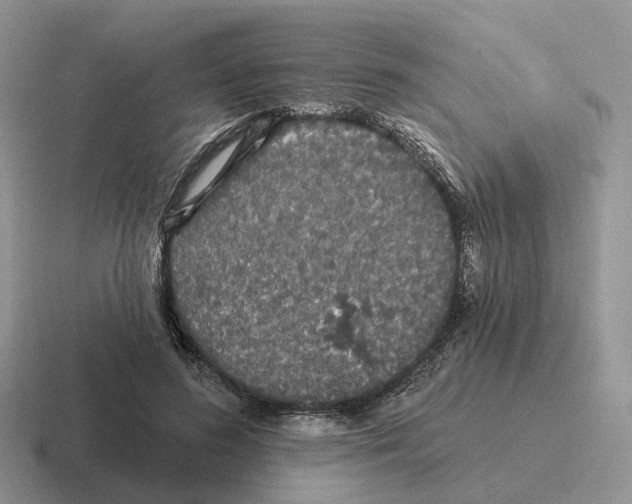 X0000116570596201001071156