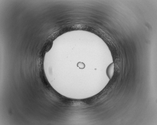 X0000116570605201001071156