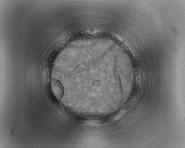 X0000116570606201001071156