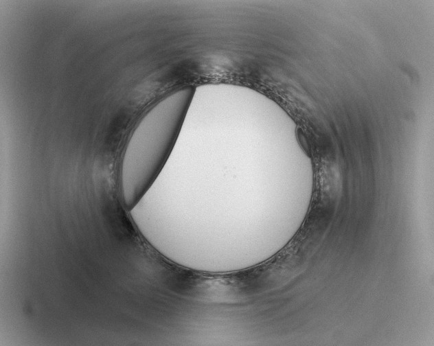 X0000116570611201001071156