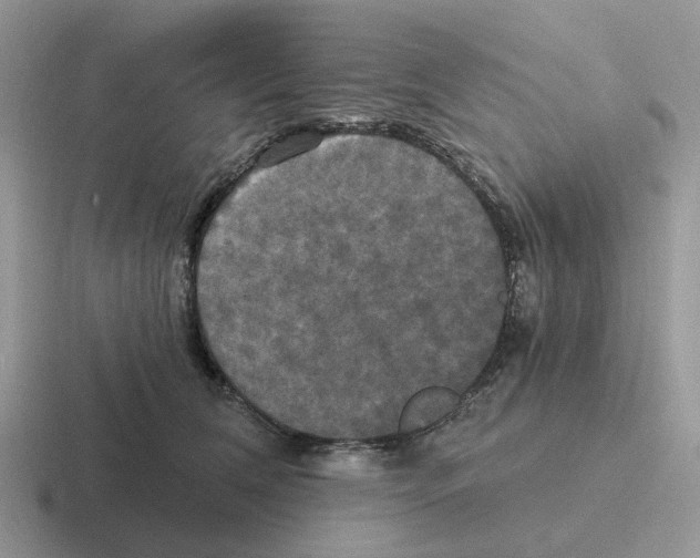 X0000116570612201001071156