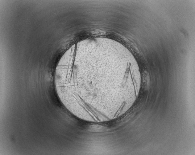 X0000116570614201001071156