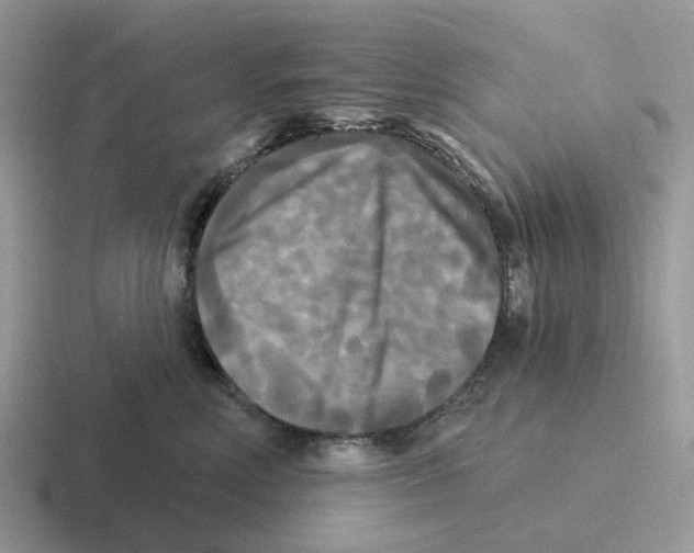 X0000116570618201001071156