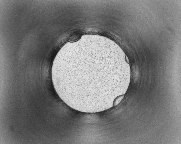 X0000116570619201001071156