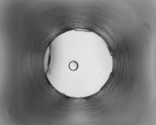 X0000116570621201001071156