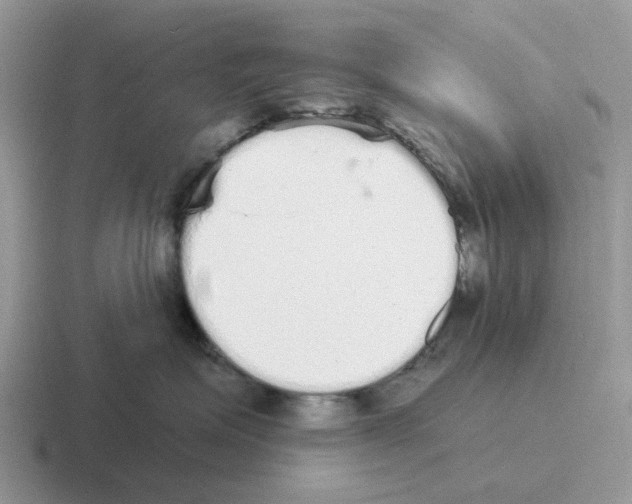 X0000116570623201001071156