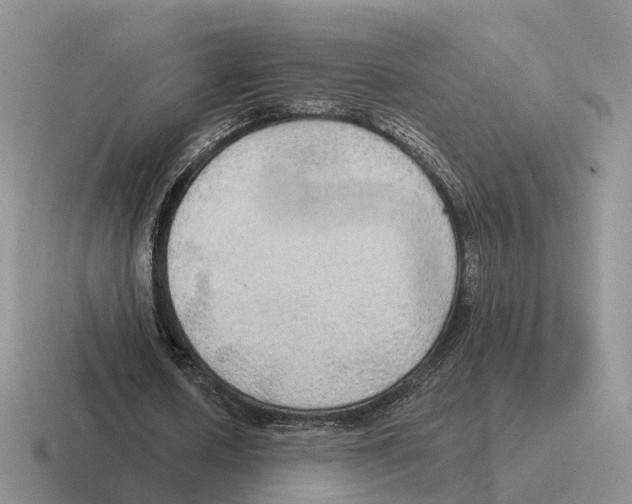 X0000116570626201001071155