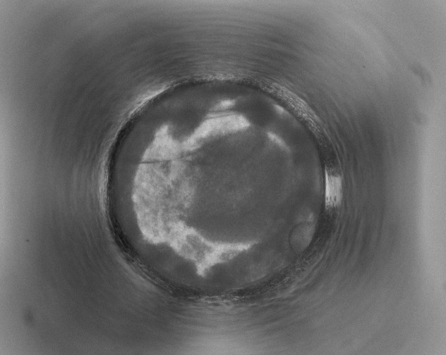 X0000116570627201001071155