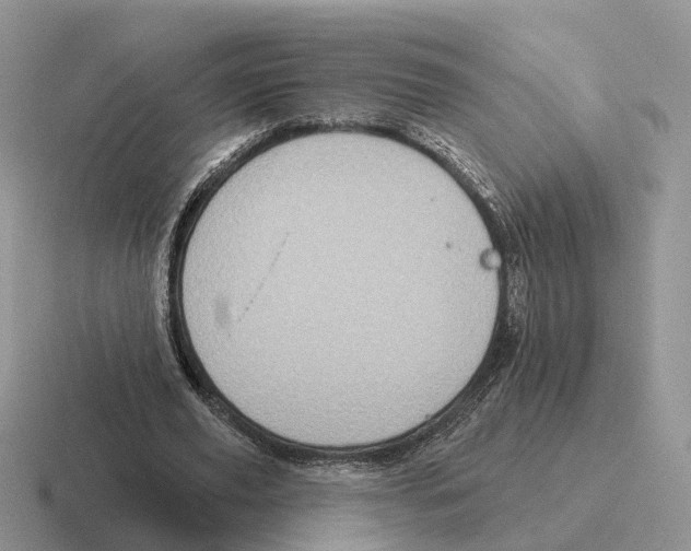 X0000116570629201001071155