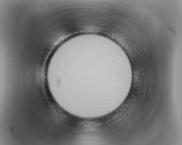 X0000116570632201001071155