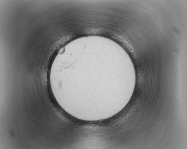 X0000116570633201001071155