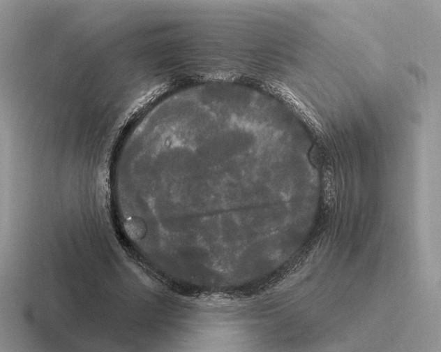 X0000116570634201001071155