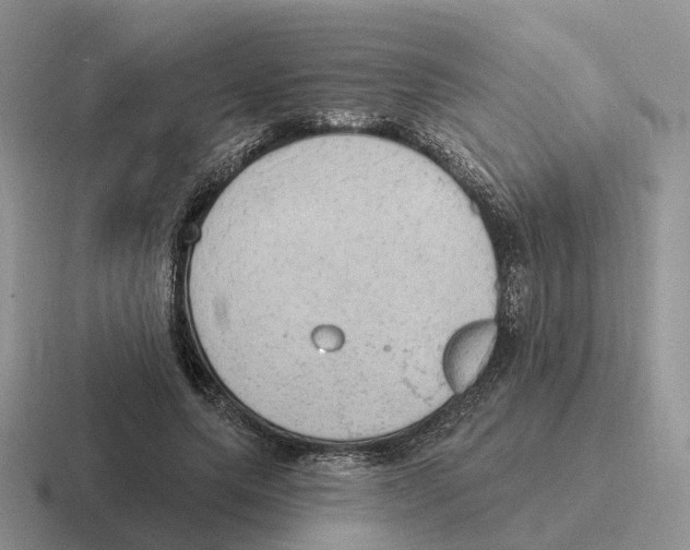 X0000116570639201001071155