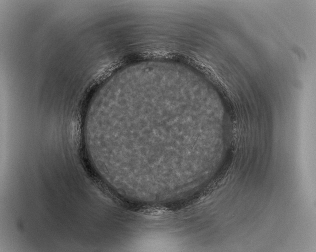 X0000116570642201001071155