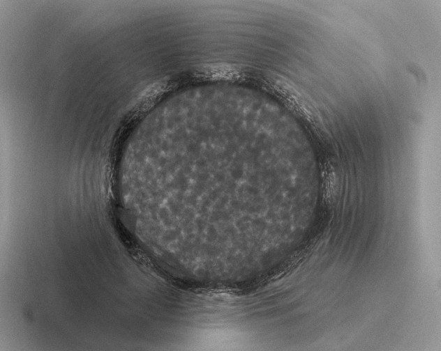 X0000116570643201001071155