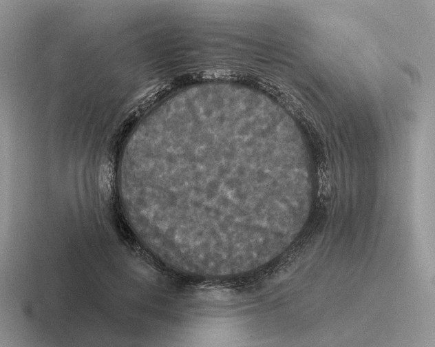 X0000116570648201001071155