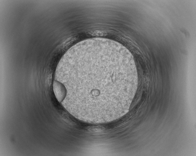 X0000116570652201001071155