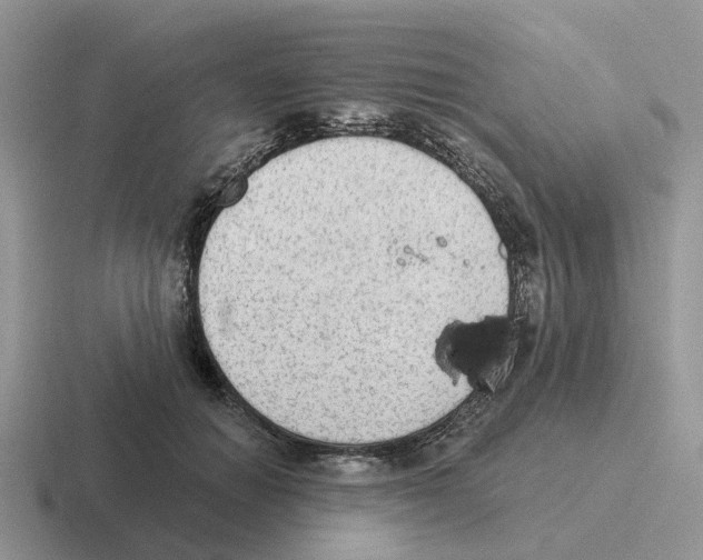 X0000116570654201001071155