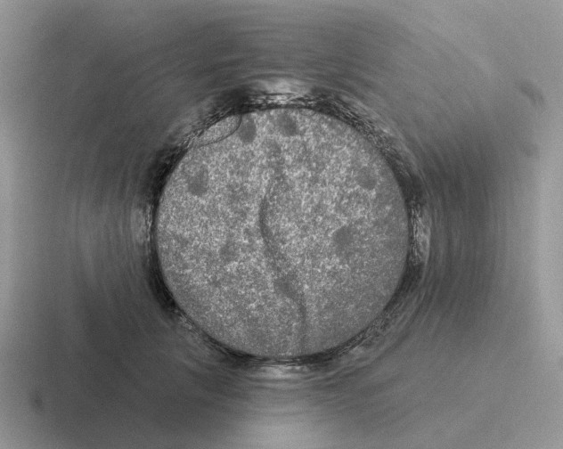 X0000116570657201001071155