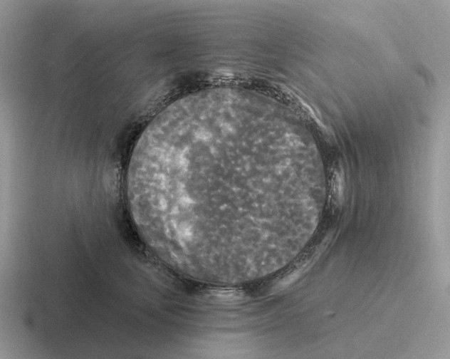 X0000116570659201001071155