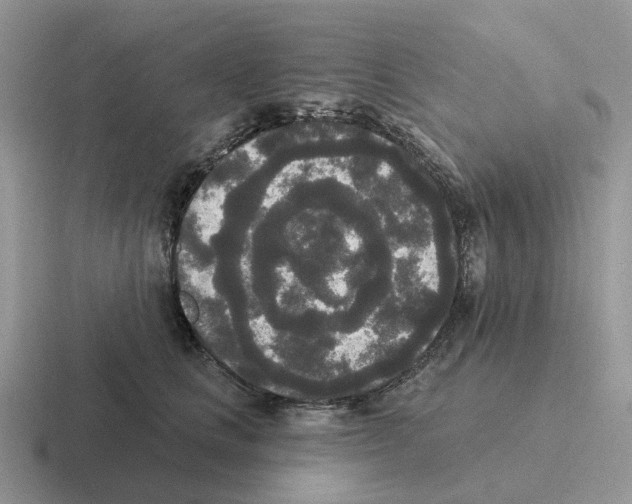 X0000116570661201001071156