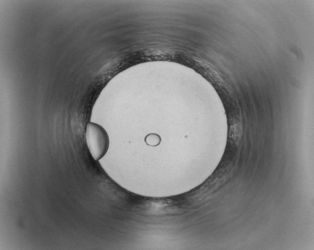 X0000116570662201001071156