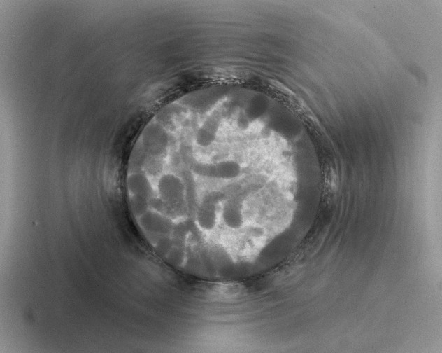 X0000116570663201001071156