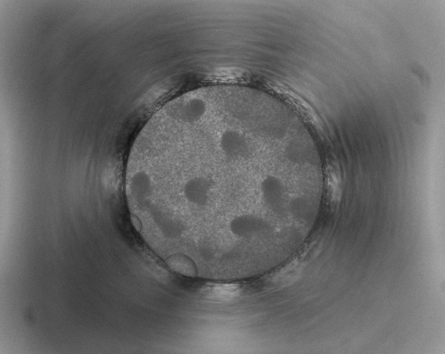 X0000116570665201001071156