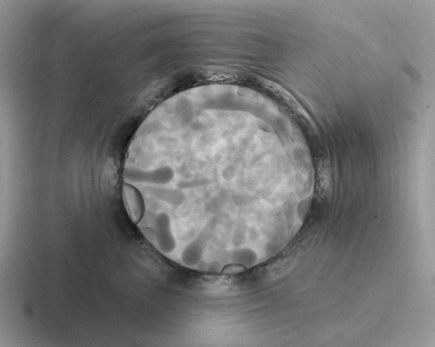 X0000116570667201001071156