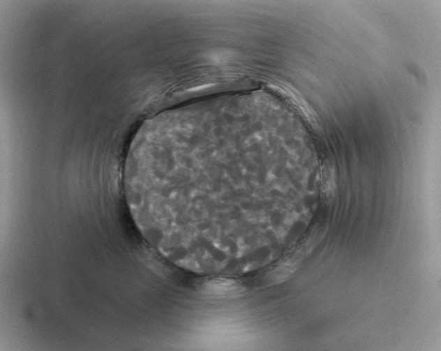 X0000116570669201001071156