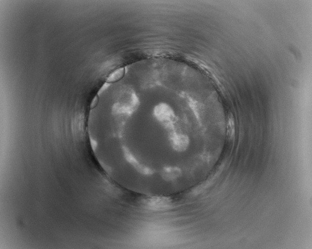 X0000116570670201001071156