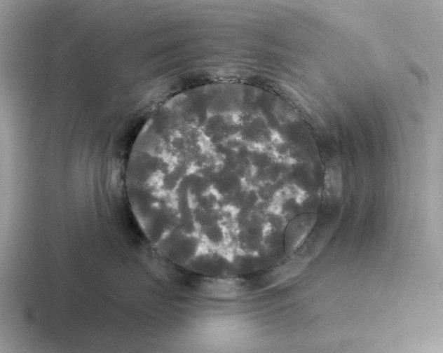 X0000116570671201001071156