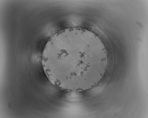 X0000116570672201001071156