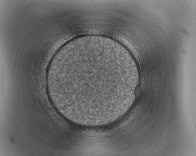 X0000116570673201001071155