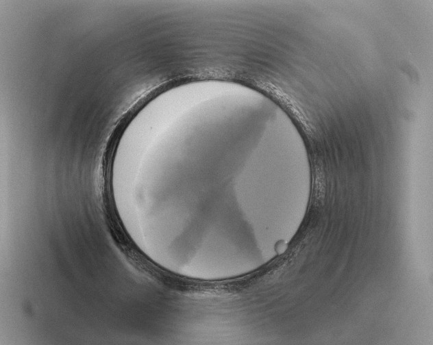 X0000116570674201001071155