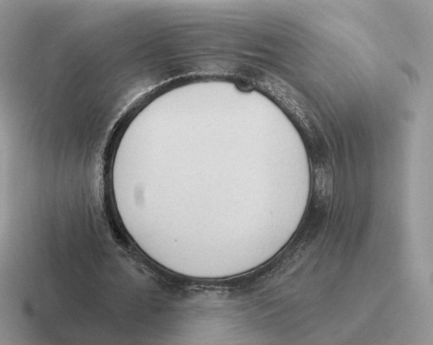 X0000116570676201001071155