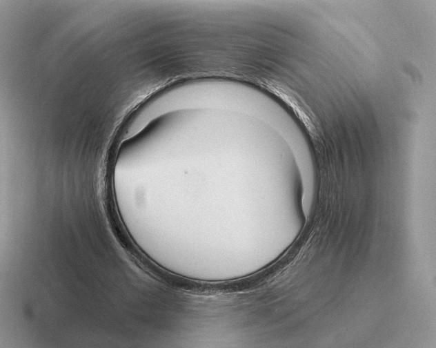 X0000116570677201001071155