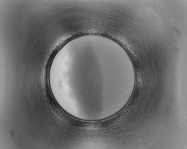 X0000116570678201001071155