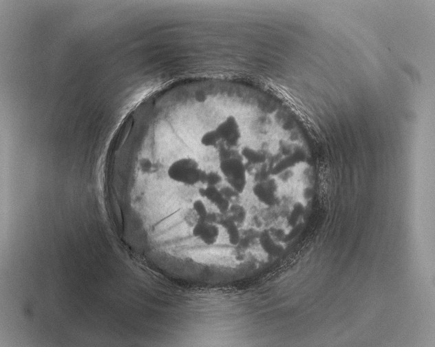 X0000116570679201001071155