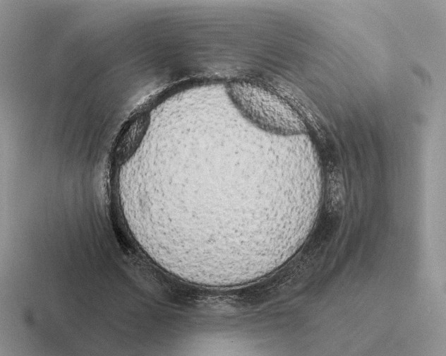 X0000116570680201001071155